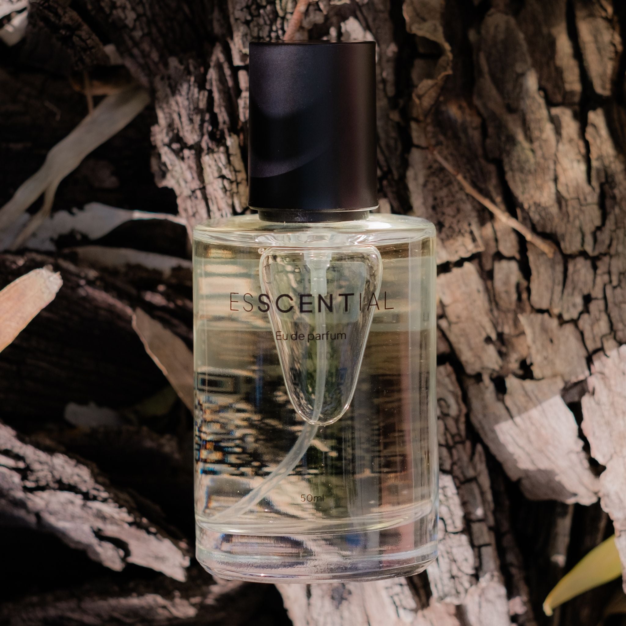  Woody perfume with trees South Africa