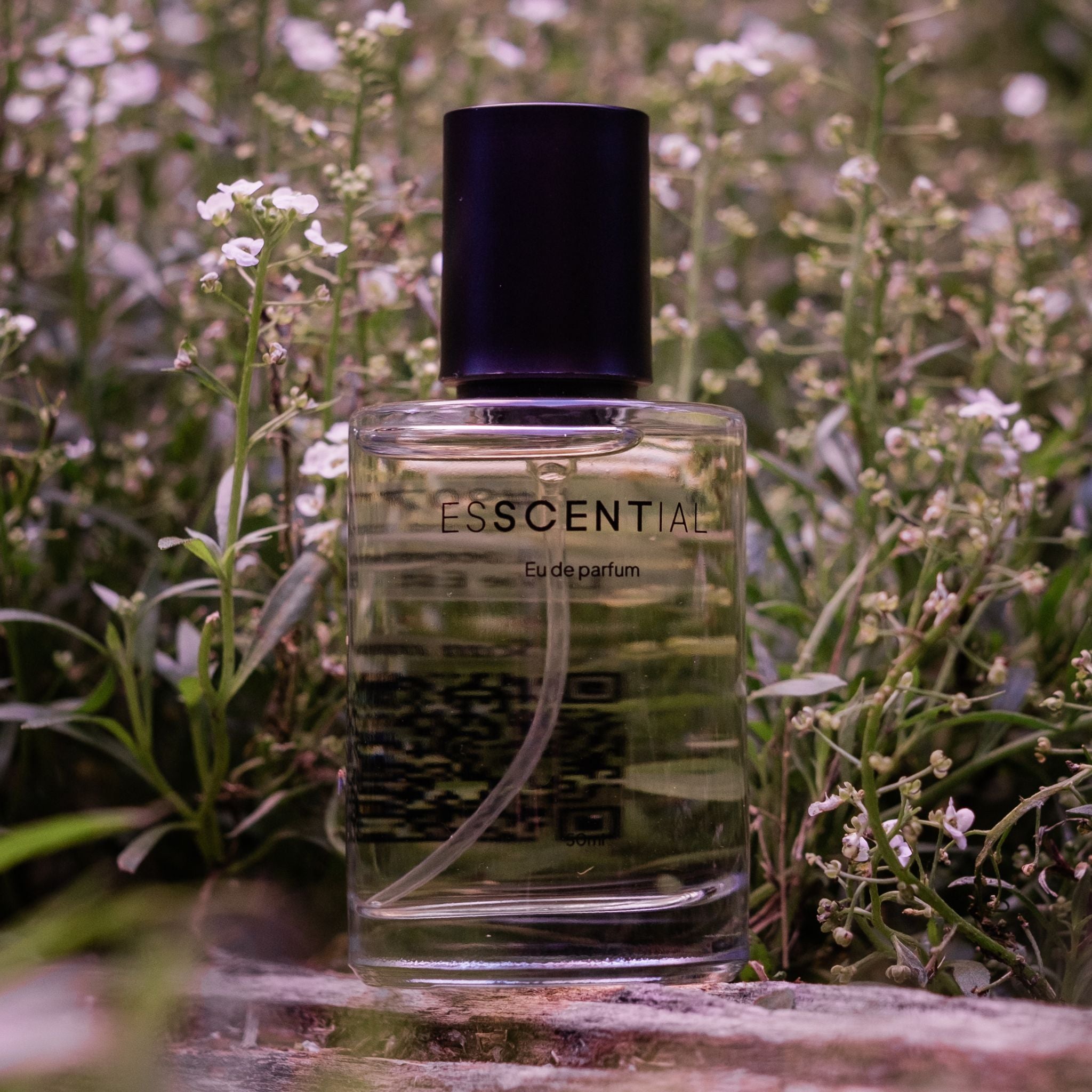  Spicy perfume amongst herbs South Africa