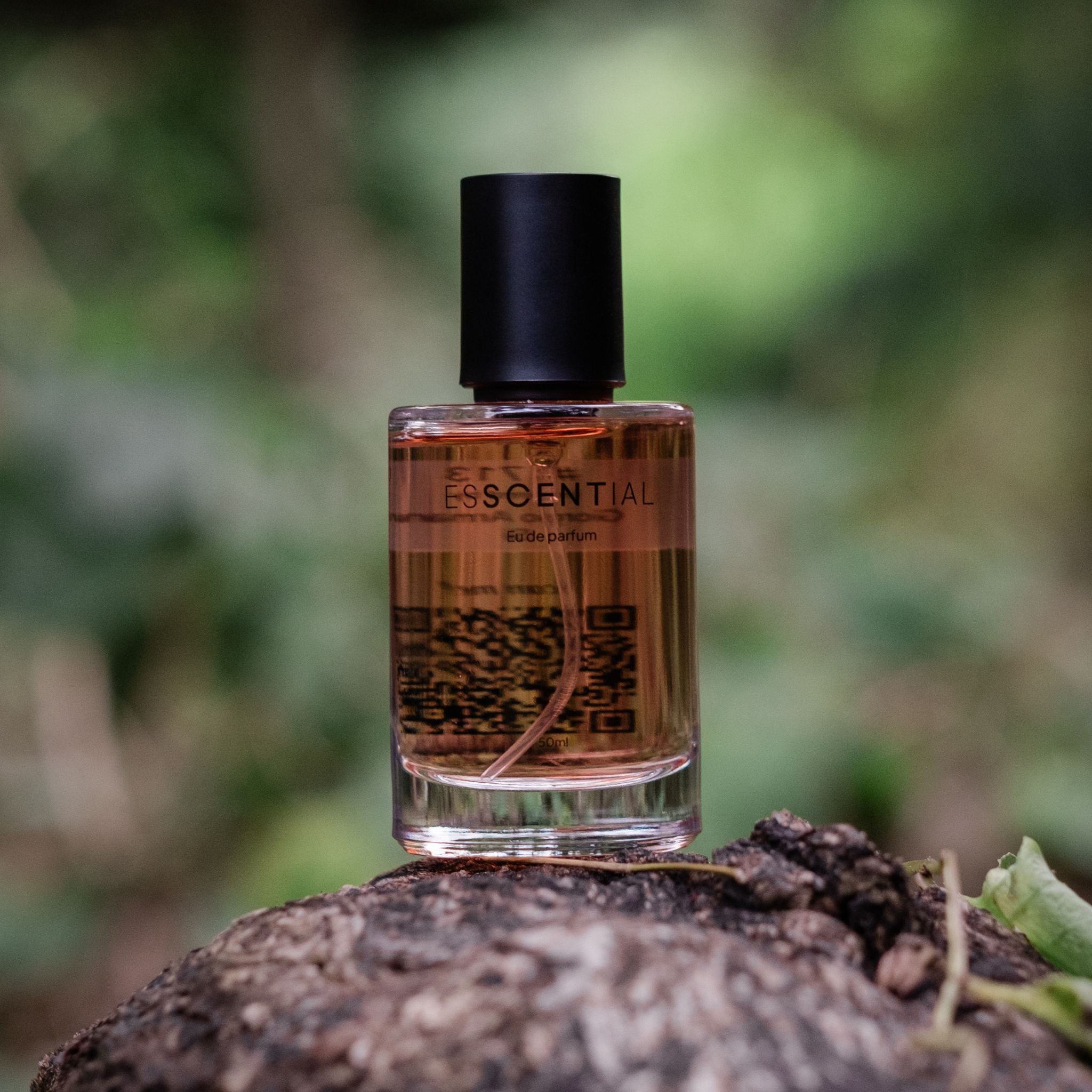  Woody perfume on tree stump South Africa