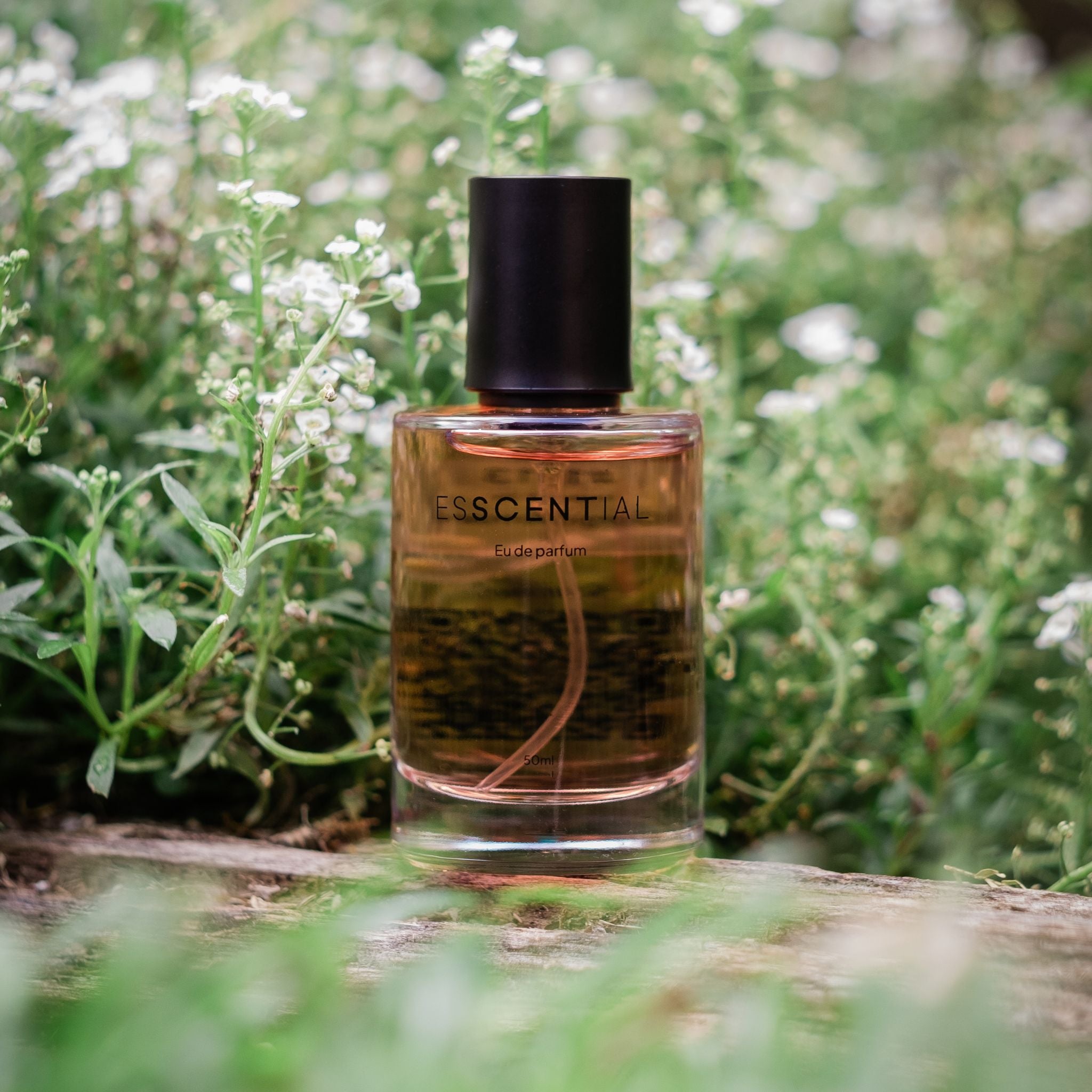  Floral perfume with white daisies South Africa