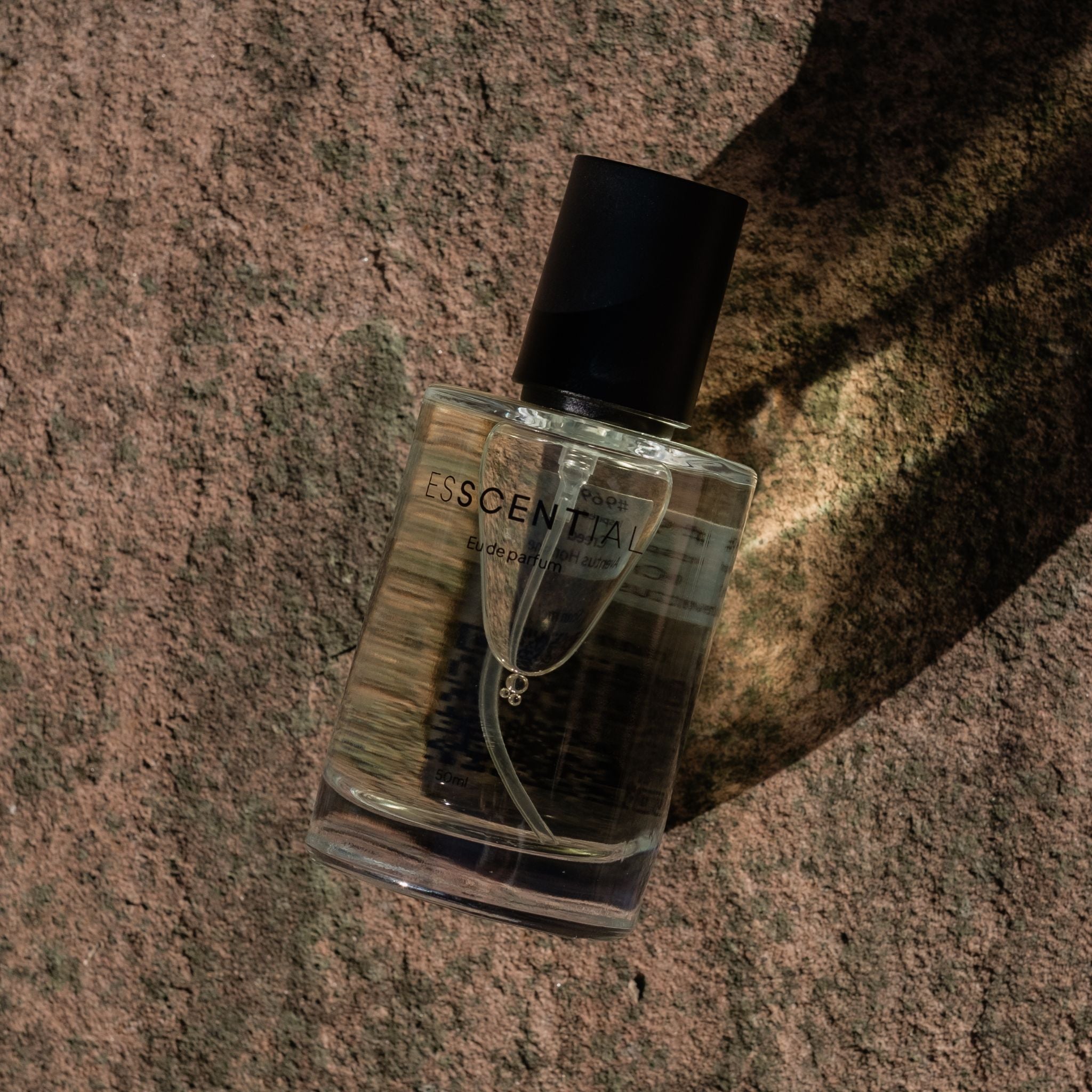  Spicy perfume on a rock South Africa